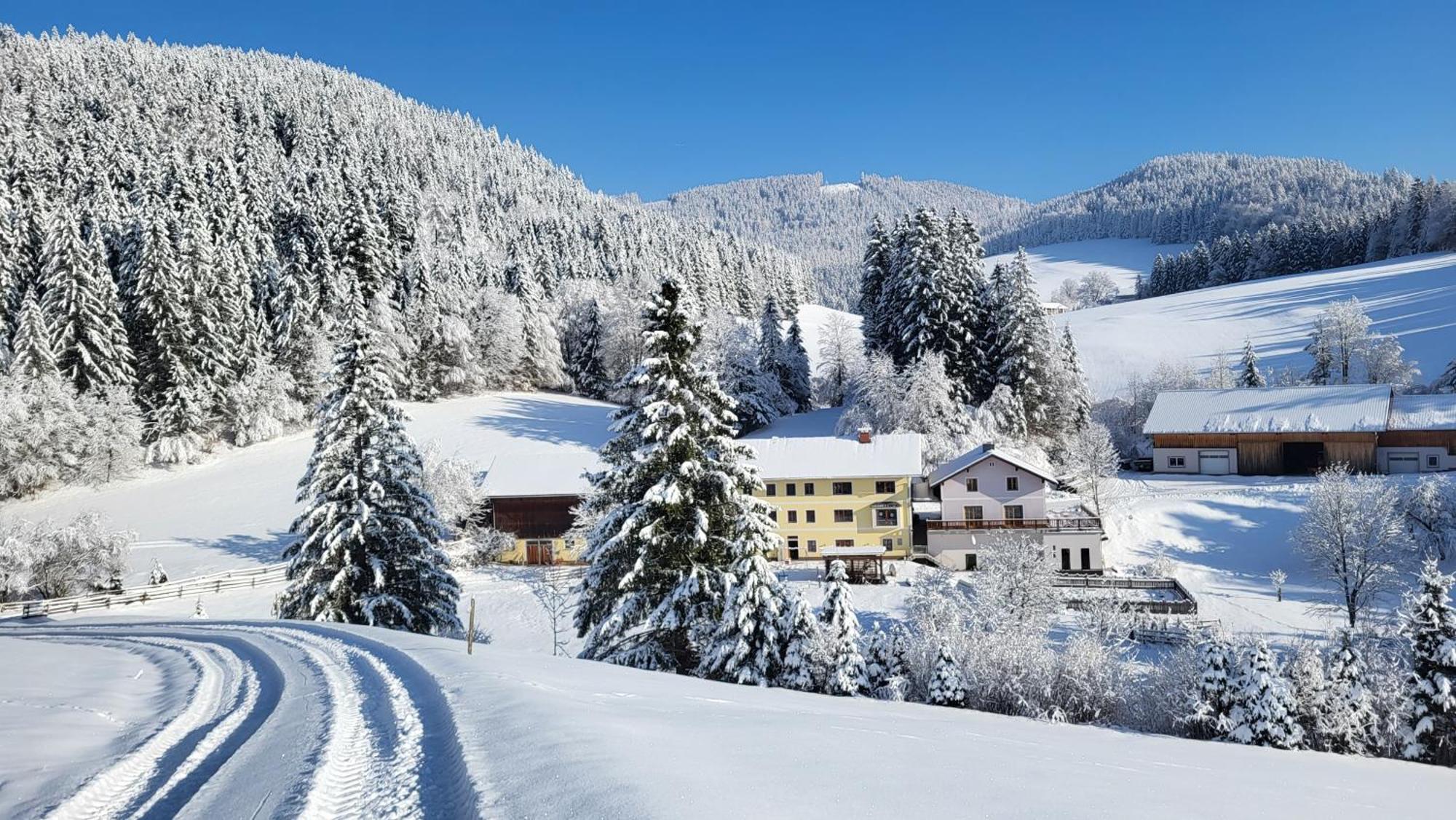 Biohof Teufel Farm stay Lunz am See
