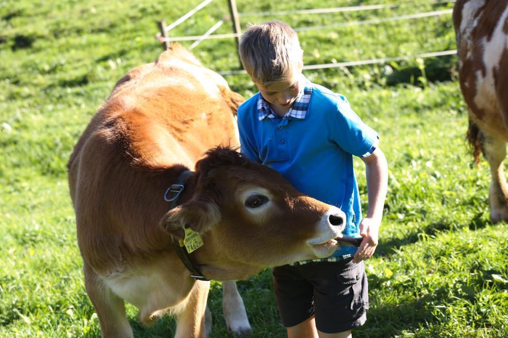 Farm stay Biohof Teufel