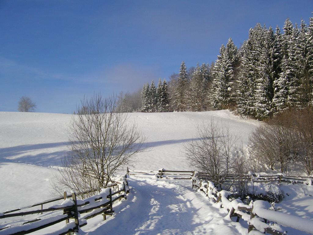 Biohof Teufel Lunz am See